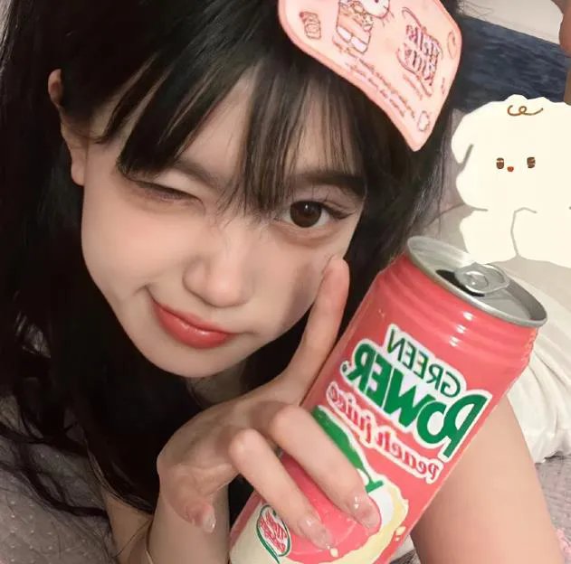 妙探乌龙记